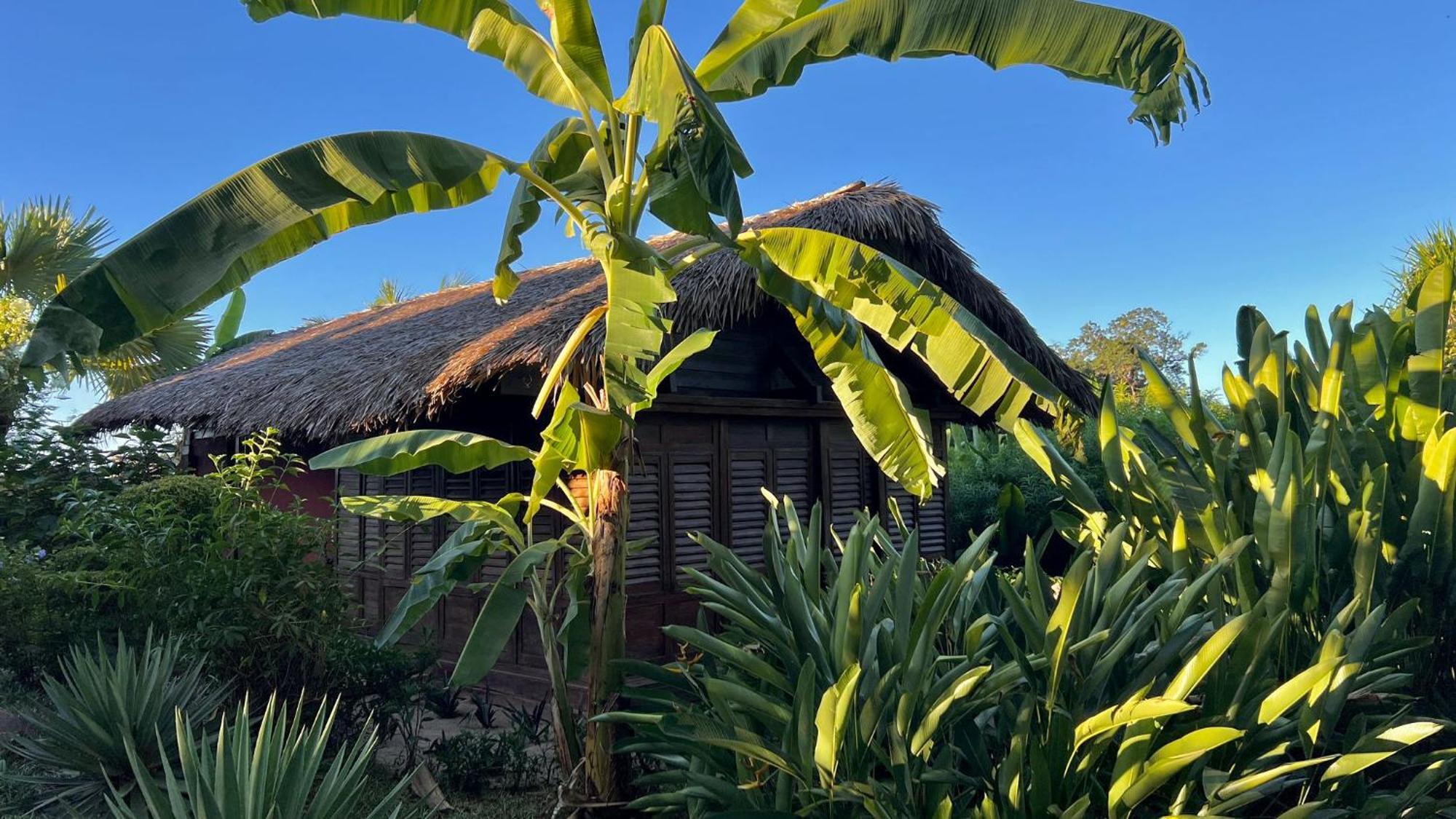 Manga Soa Lodge Fascene - Befefika Exterior photo